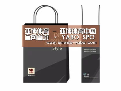 项目名称十四