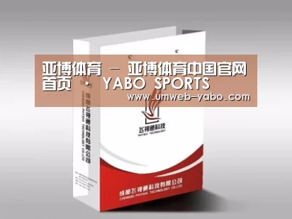 项目名称十三