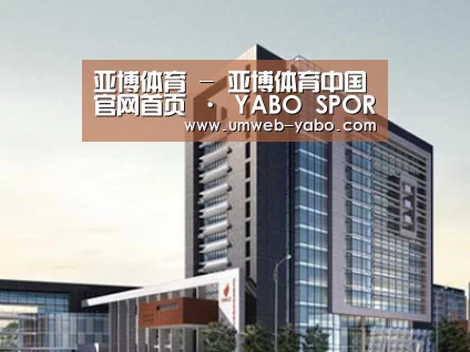 案例展示七