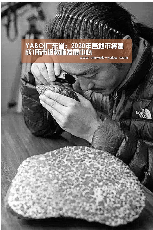 YABO|广东省:2020年各地市将建成1所市级教师发展中心(图3) YABO|广东省:2020年各地市将建成1所市级教师发展中心(图3)