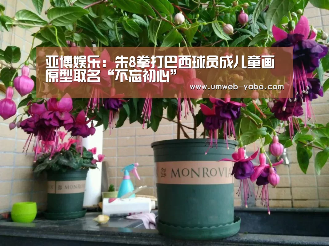 亚博娱乐:朱8拳打巴西球员成儿童画原型取名“不忘初心”(图1) 亚博体育