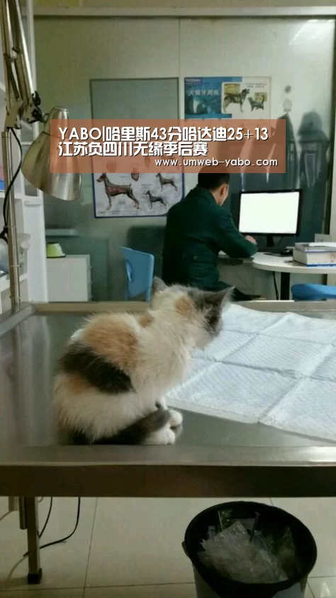 YABO|哈里斯43分哈达迪25+13 江苏负四川无缘季后赛(图2) 亚博APP